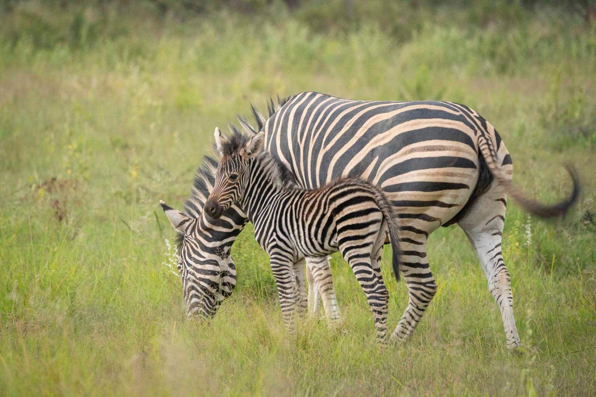Ekuthuleni Lodge Странд Екстер'єр фото